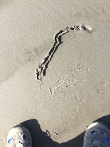 Chanel Designs in the Sand - A Lesson From Olives